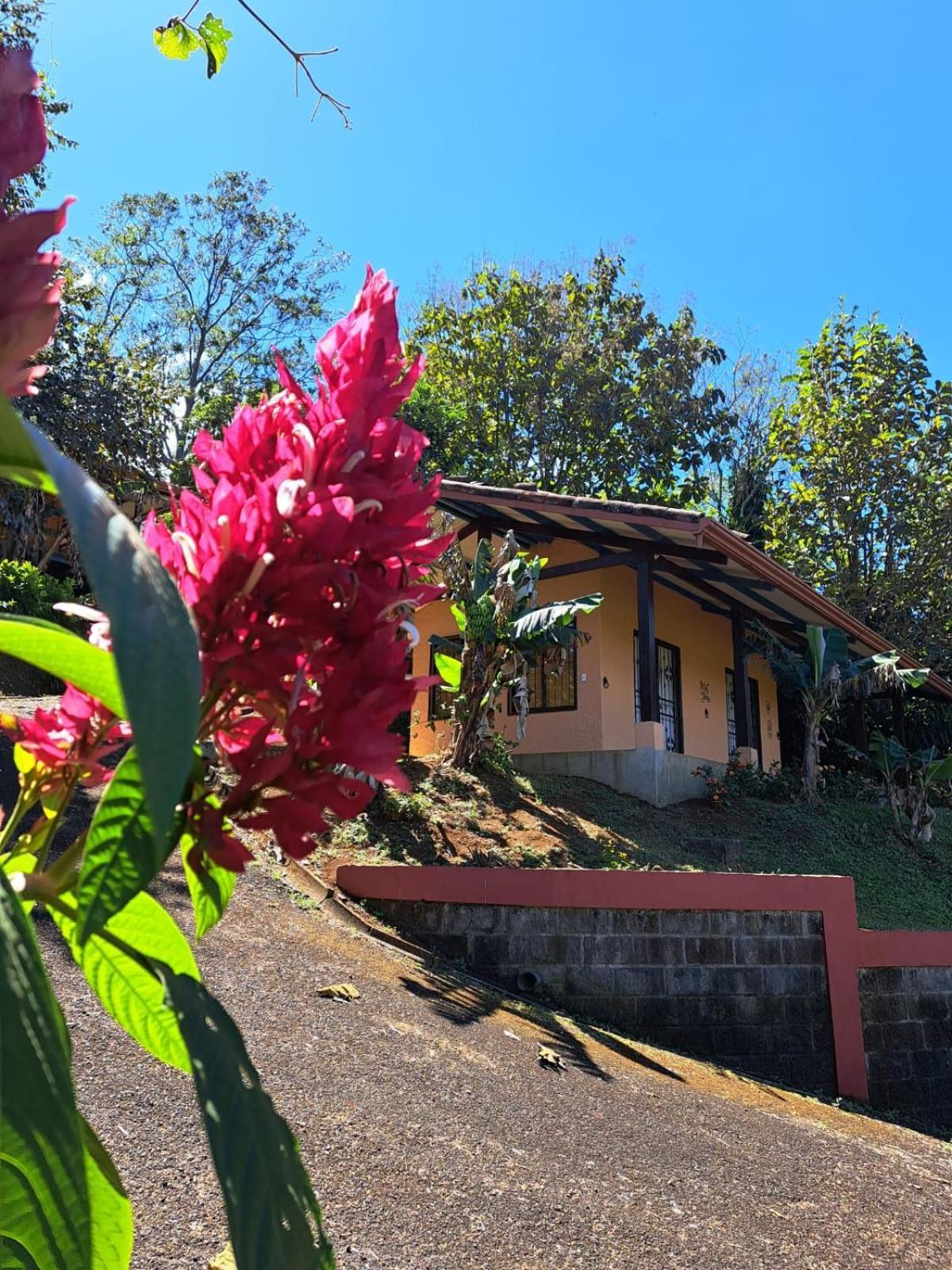 Serenity By Nature Carrillos Exterior photo