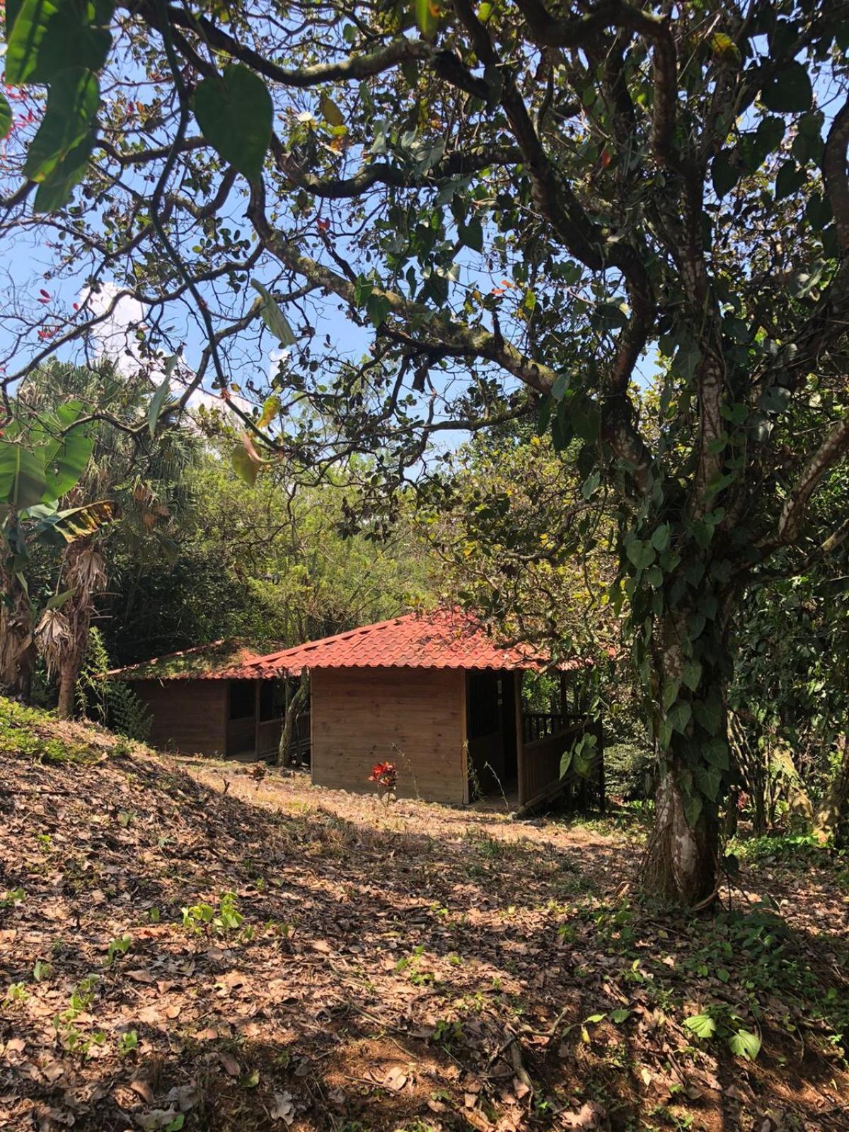 Serenity By Nature Carrillos Exterior photo
